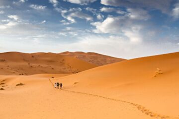 Tinariwen