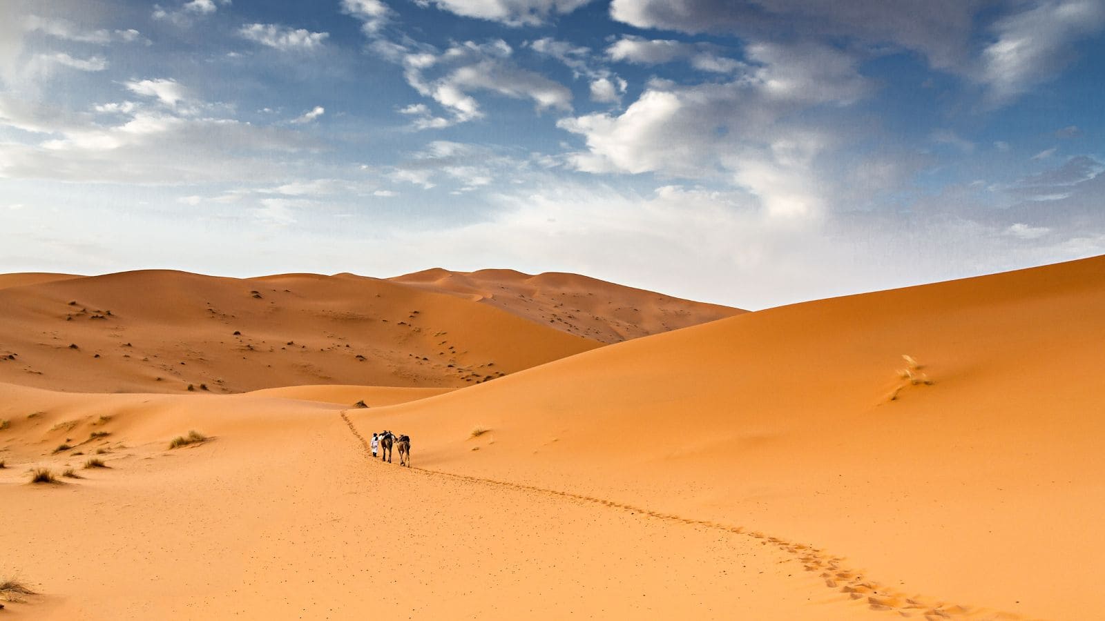 Tinariwen, l’hymne des Touaregs